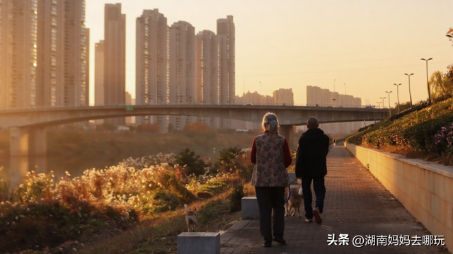 不用去南京，长沙也藏着 “梧桐秘境”！遛娃拍照美到窒息！
