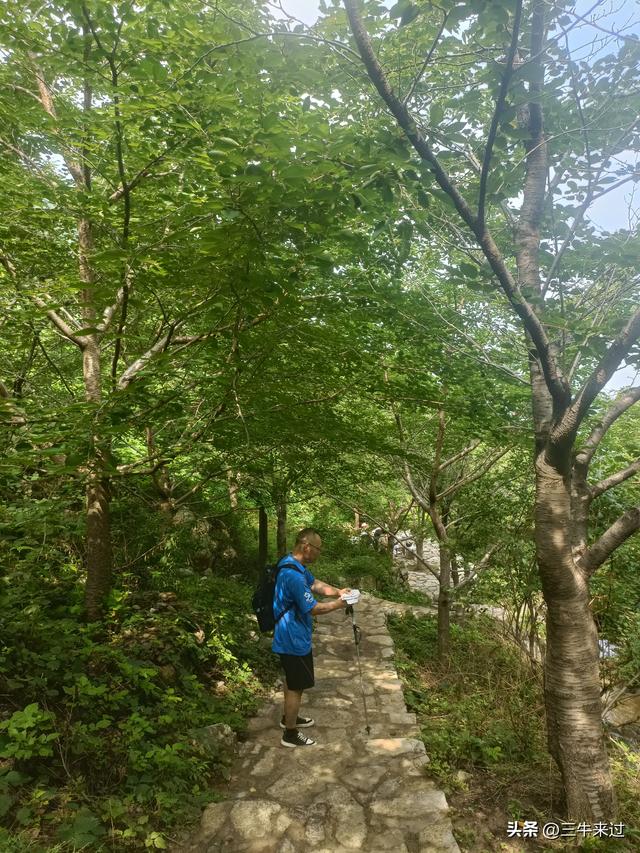 无为在歧路，齐山一块八