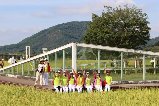 流溪河文化 | 艾米农业产业园：一溪润千亩，一稻美一城