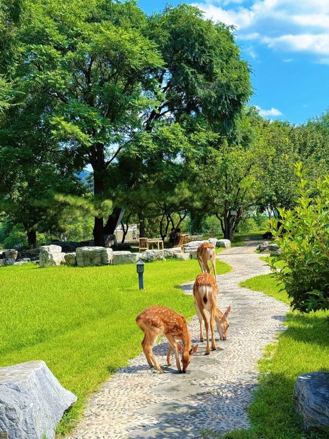 世界上只有中国河北省承德市才有的全球“独一无二的10大奇景”