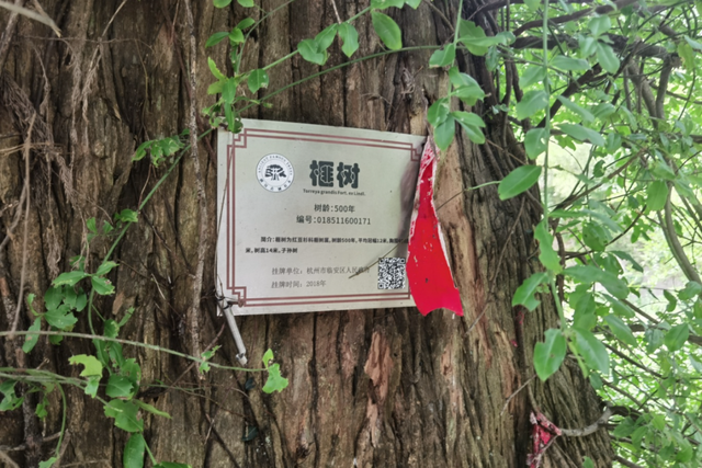 一脚踏进“冰瀑古道”！网友：哇！这里有点冷