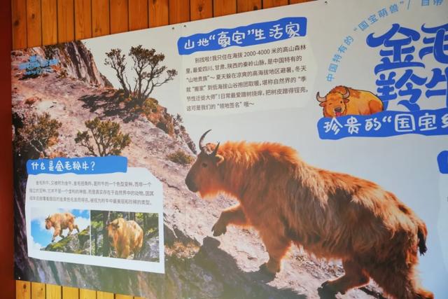 好“牛”！国宝顶流，厦门首展！送票→