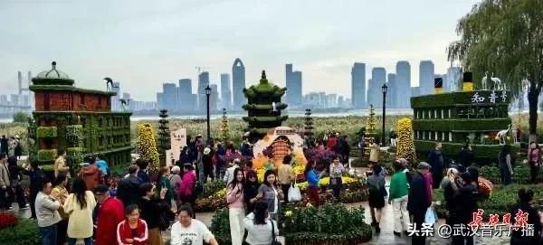 武汉地标纷纷“入景”金秋菊展