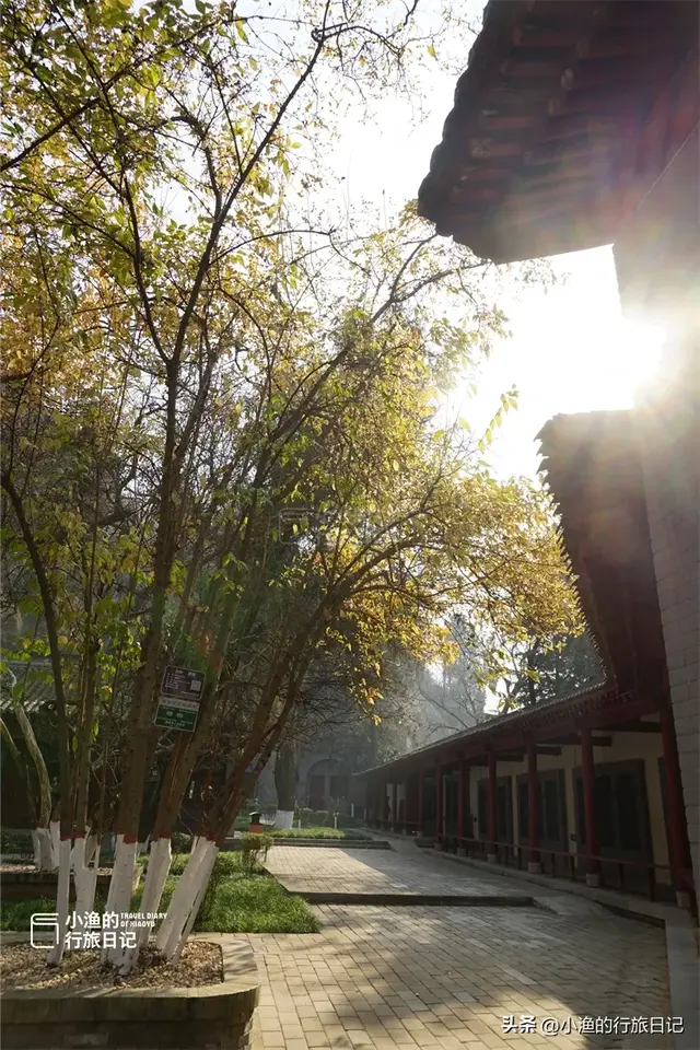 老西安都不知道的宝藏地：常年清静、游人不多，又到冬日最美时