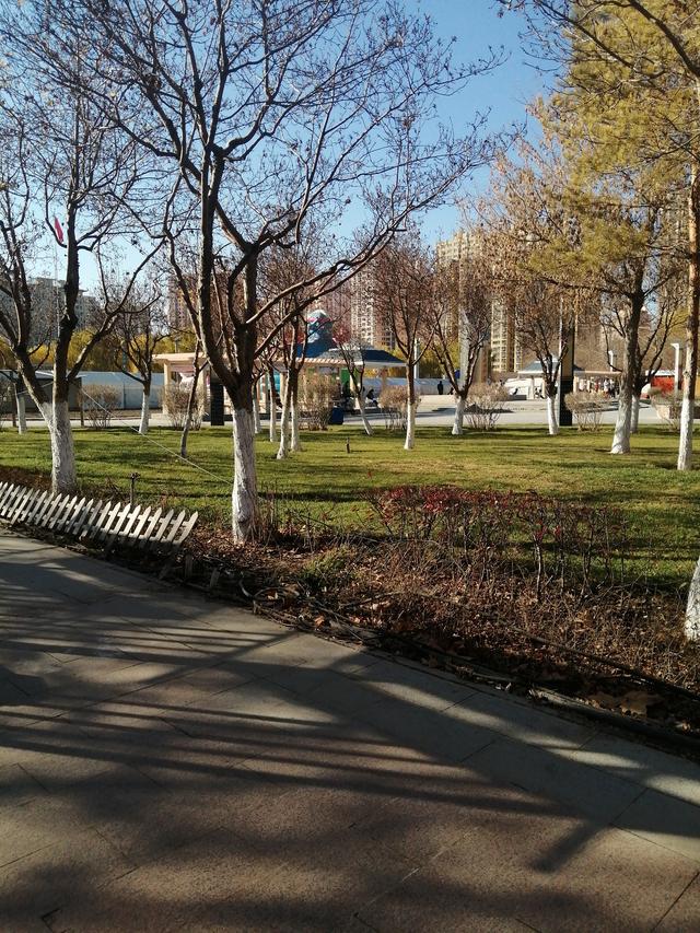 汉滨公园的冬日独白