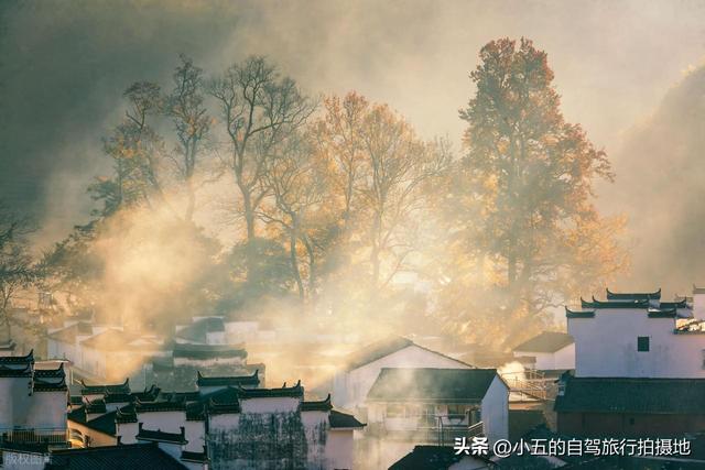 9 地秋日赏秋实测攻略！附最佳时间 + 落地玩法，收藏直接走