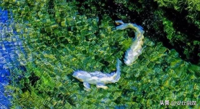 收藏贴！带您玩转潍坊的湖光水色