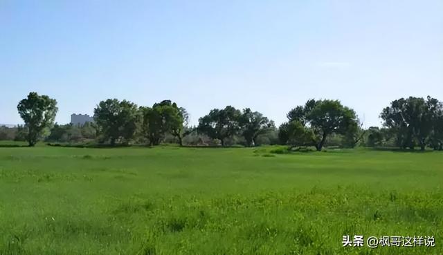 包头人的骄傲！亚洲最大的城中草原赛汗塔拉，外地人来了都惊叹