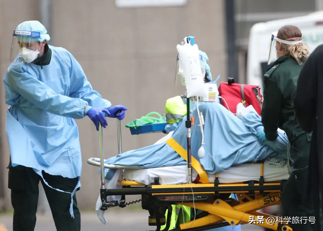 诞生于38亿年前的纳米机器人，揭秘地球上最强大的病毒“噬菌体”