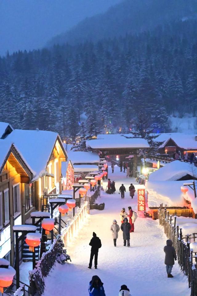 零下20℃的童话世界：哈尔滨冰雪季超全避坑与狂欢指南