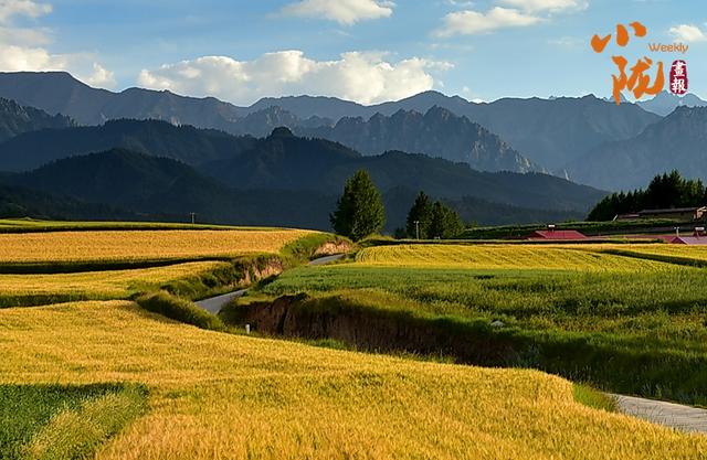 【小陇画报·396期】民乐：文旅融合绘就“诗与远方”美丽画卷