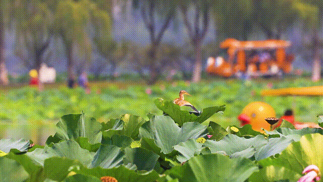 李白当年的“朋友圈”，你还不来点个赞？