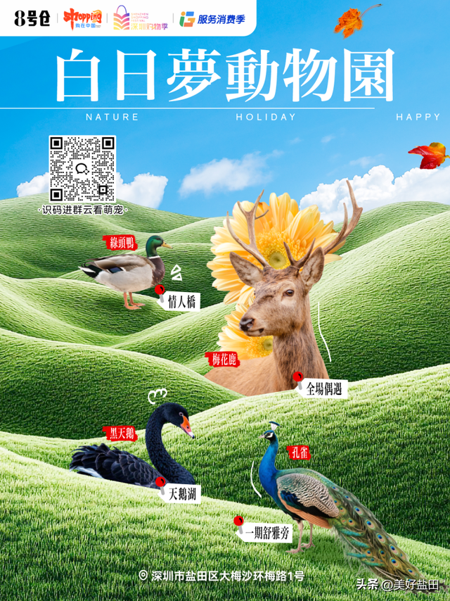 梅沙国庆终极攻略！这些福利正在刷屏→
