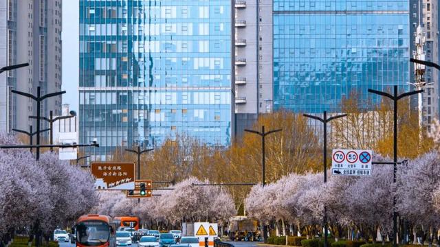 太期待了!接下来的洛阳,是这样的...