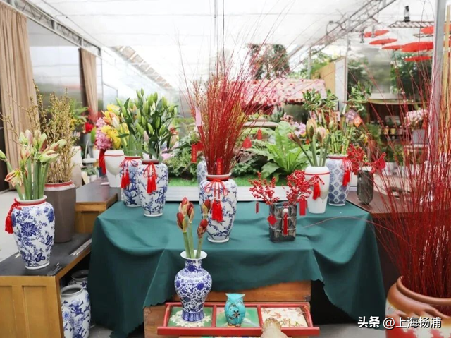 周末来复兴岛，做休闲“岛民”