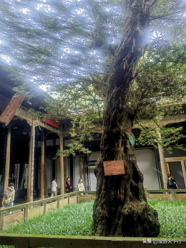 武义郭洞号称江南第一风水村，连坞茶山犹如地球指纹