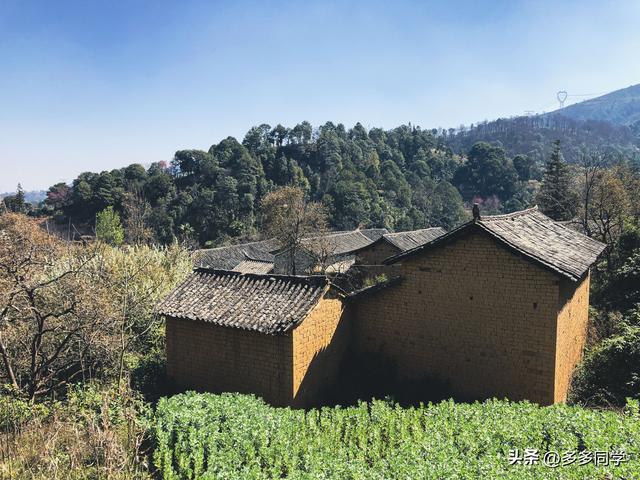 探秘哈尼梯田：“四素同构”的生态奇观，为何能惊艳世界？