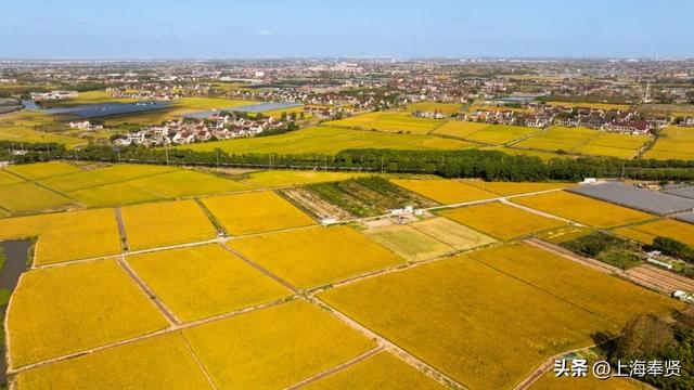 山河入秋，奉城尽染！