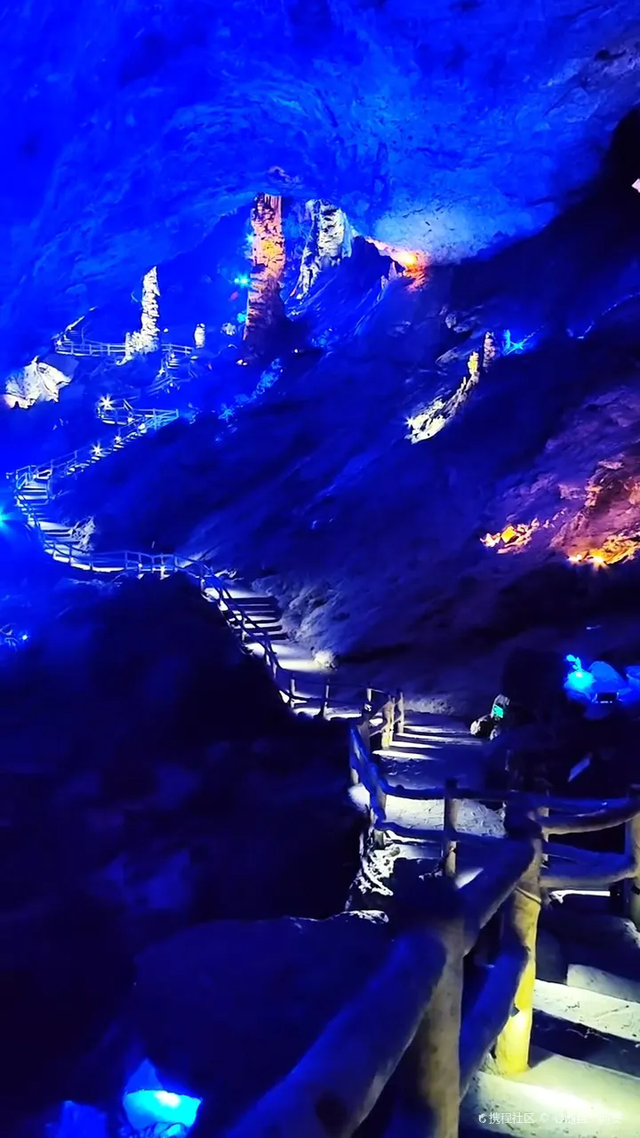 别等春天！陇南的冬日密语里，藏着限定版春日烂漫