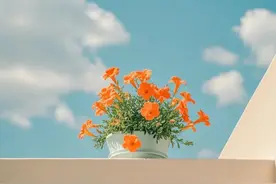 一个人和谁结婚，其实早有定数，从这三个方面，多半就能看出答案图片