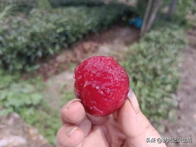 我最近热衷废墟游因为多少总会有收获,加油!我的胜利已近在眼前