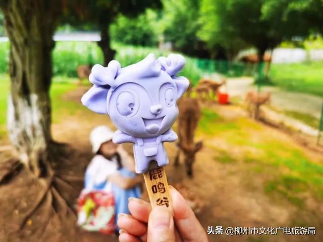 一个被严重低估的宝藏地！卸载48小时城市内卷，到鹿寨中渡加载山水与人间烟火