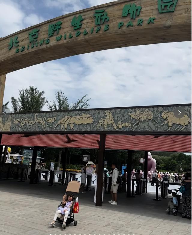 刚从北京回来，能劝一个是一个……