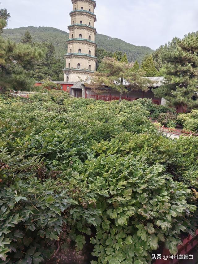 晋祠