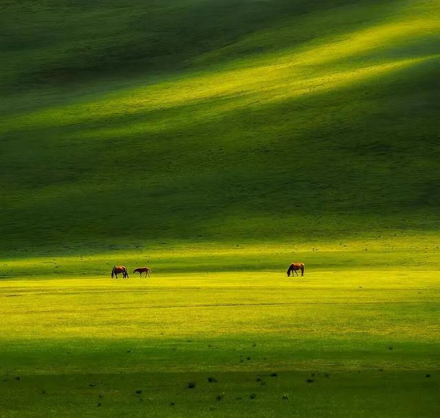燕南赵北‖光影草原