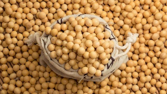 多吃这类“神奇食物”，抗衰老	、护肝脏	，大脑也受益！建议你常吃