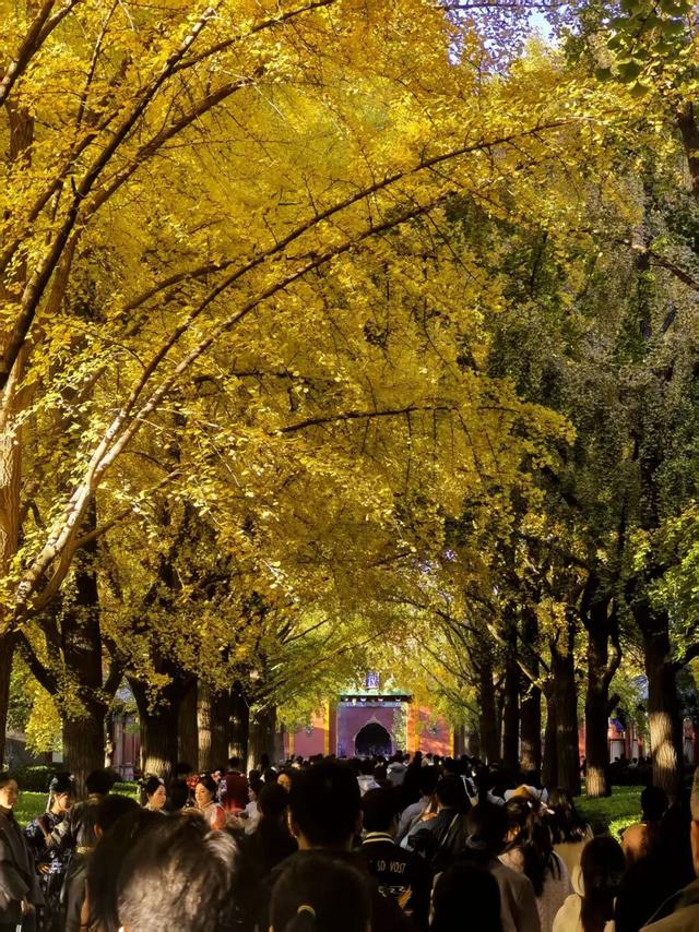 性萧条后，年轻人的精神也开始萧条了