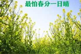 老话“最怕春分一日晴”，今日春分，晴天有啥好怕的？看农谚咋说图片
