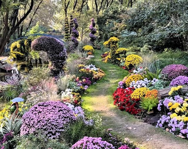 上海共青森林公园秋日攻略：5处精华点位+避坑指南，打卡油画秋景