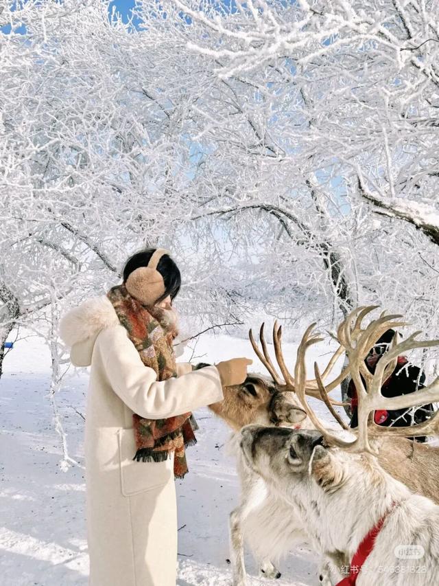 这个冬季，伊敏河冰雪嘉年华邀您共赴冰雪之约！12月中旬盛大开园，福利抢先看！