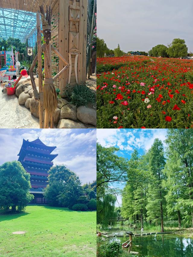 安徽·阜阳｜五大必去景点