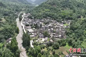 陇南成县：小小马莲花为乡村道路穿上“绿铠甲”图片