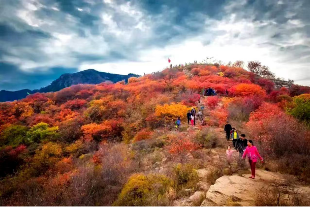 拥抱夏天，让爸妈陪你来青州过暑假