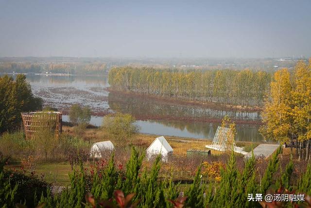 【图说岳乡】汤阴汤河国家湿地公园：初冬染彩 秋韵未歇