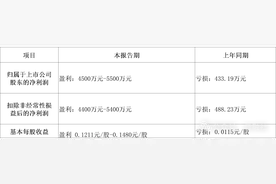 同比扭亏！山西运城这家炭黑龙头业绩稳步上涨图片