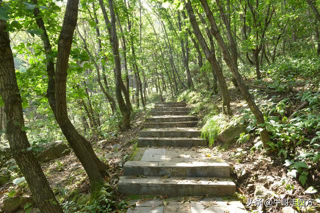 河北百草畔（上）：风动孤石悬险韵，蚁巡深岭蕴生机