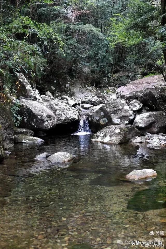 远上乌岩岭上斜,白云生处白云尖!温州这处秋日美景值得一去!