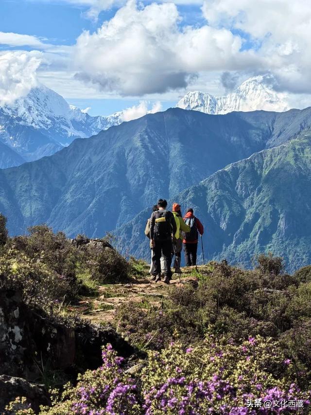 一路太多美景！离开浪浪山，去西藏这里开启一场山野漫游！