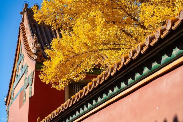 连着三个冬天都去了漠河，心里冒出一个想法，我一辈子不会变