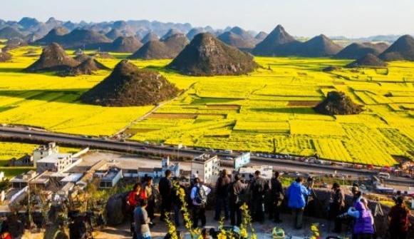 带着孙女去旅行（168）罗平油菜花海游