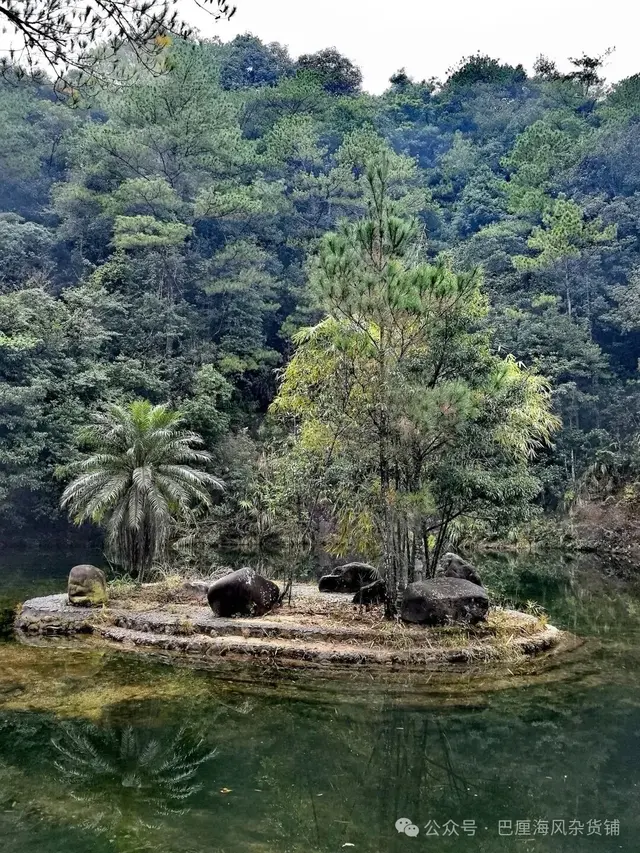 直下高原去海南（2）令人失望的十万大山国家森林公园