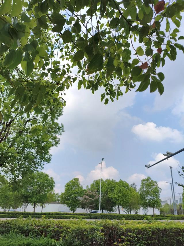 夏日的云淡风轻