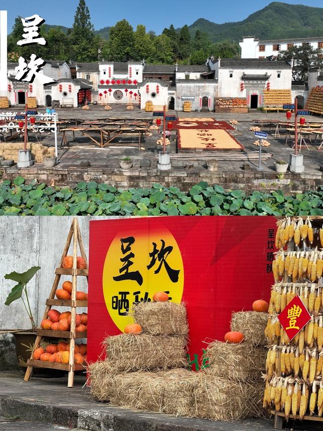 适合国庆去玩的10个黄山绝美景点！