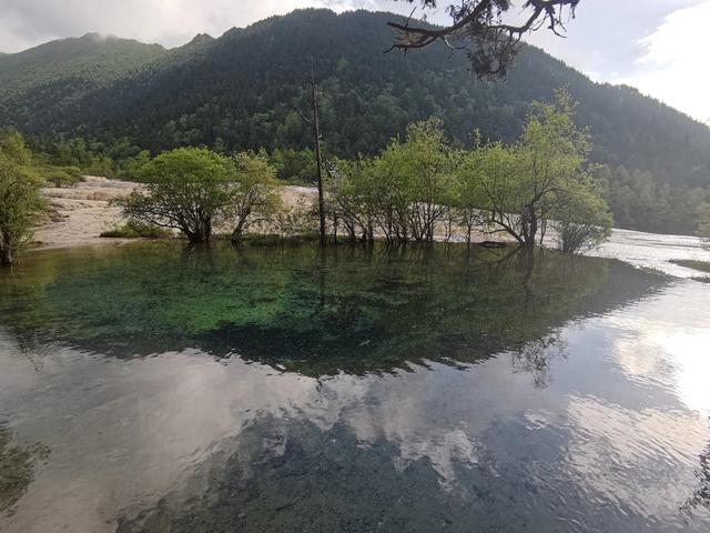 黄龙、九寨、都江堰随记Day2