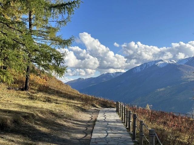 五彩斑斓喀纳斯