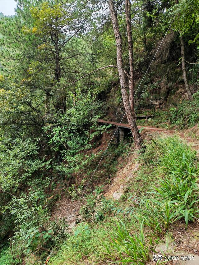 重庆主城藏了条“摆烂”步道：公交直达，轻松原始，就是有点费嘴